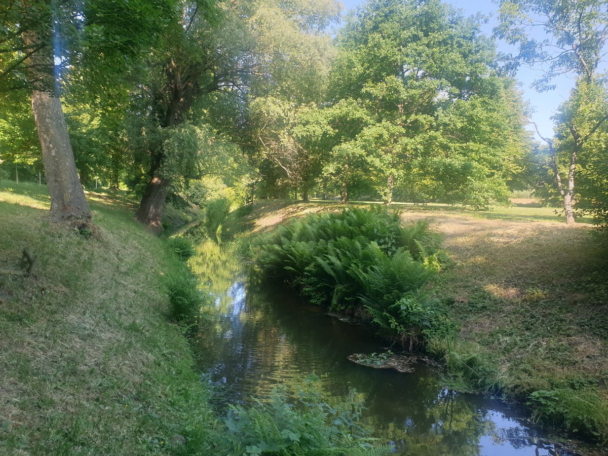 Ranní Stromovka
#morningrun