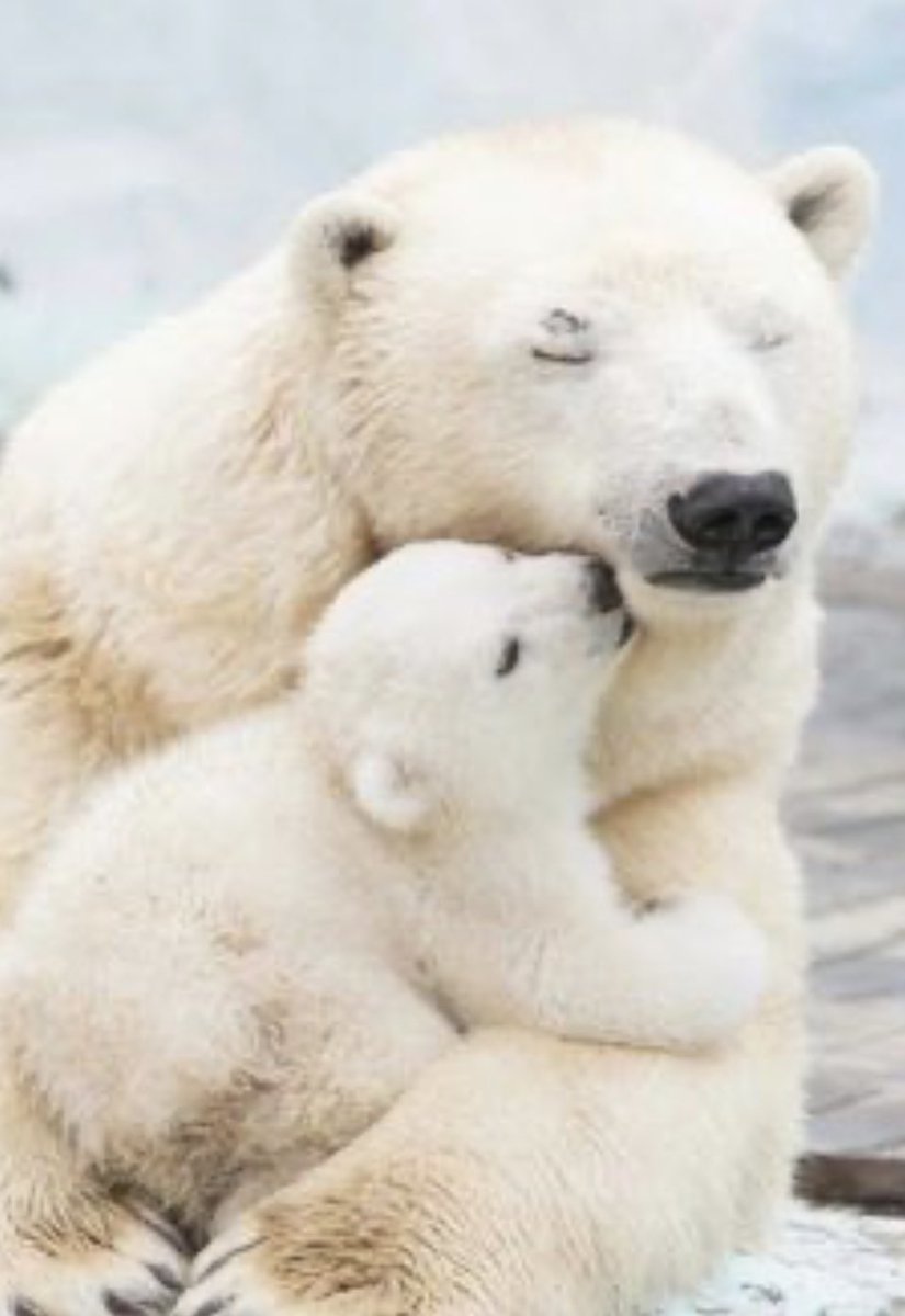 Bonne fête à toutes les mamans !