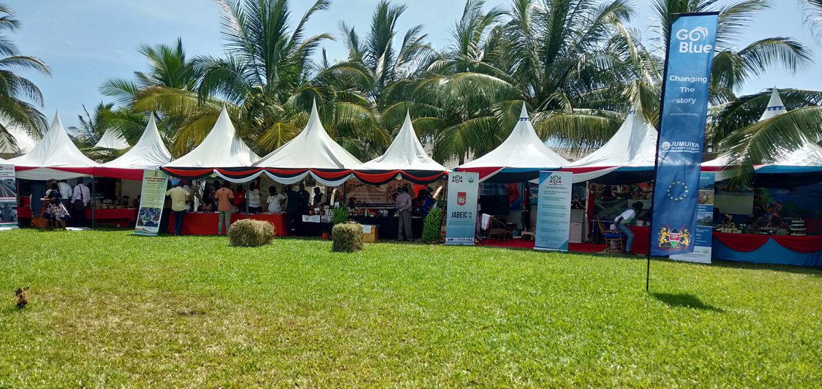 Your next big event should be held on the most perfectly manicured luscious green lawns in Malindi.😍

#meetings #conference #weddings #events #sunday #malindievents #beachwedding #gardenwedding #poiticalevents #eventsvenue #venue #weddingvenue #meetingvenues