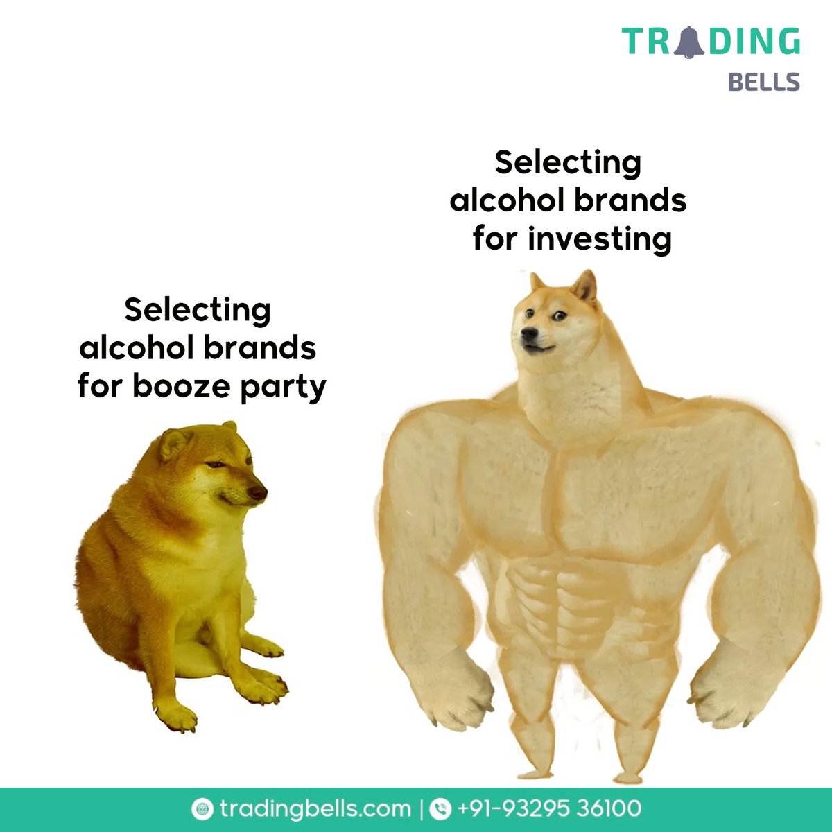 Smart choices make you a smart investor!

#ashneergrover #alcoholfree #smartinvestor #tradingbells #iiflsecurities #trading #stockmarket #investment