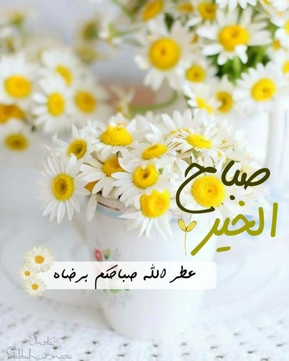 motion_mohammed's tweet image. #صباح_الخيرᅠ 
#صباح_الخير_والسعاده