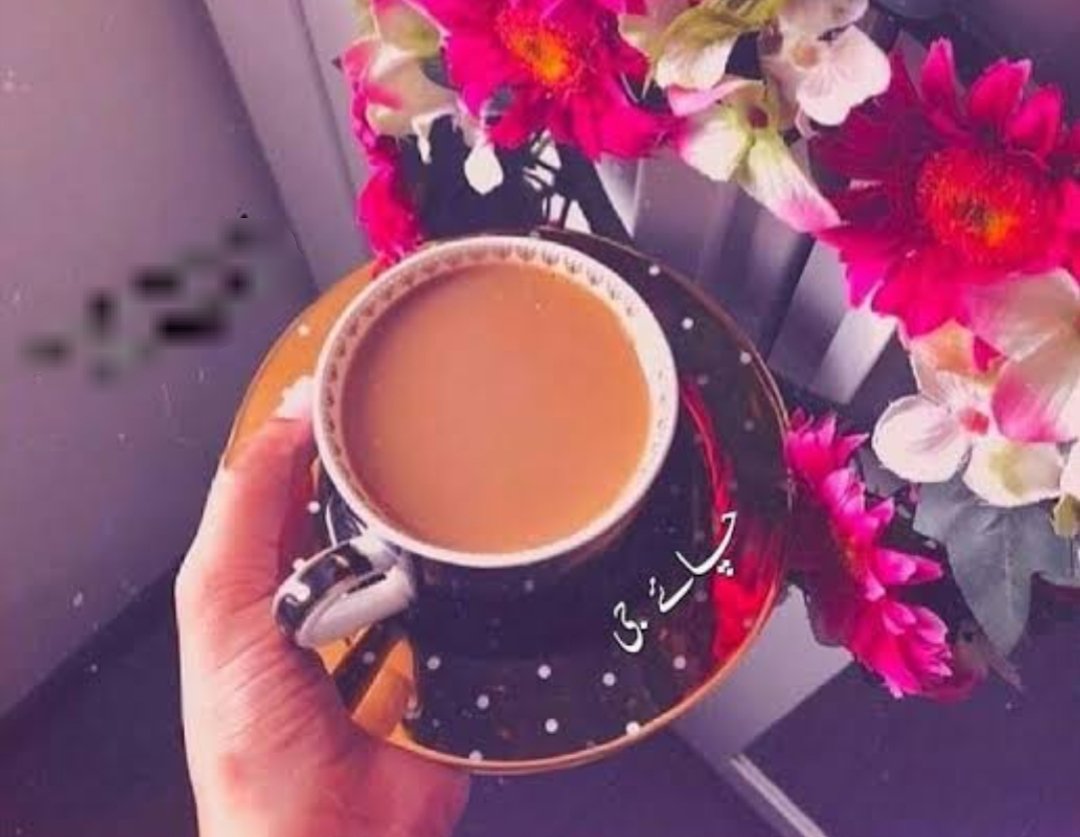 RoyallSinister's tweet photo. कोई शाम हमारे नाम करो 🤍
आप के लिए चाय को फूलों से सजाए ☕🌸
#unknown_Person 🖤
#GoodEvng 🌛 https://t.co/PIUva8Vbpd