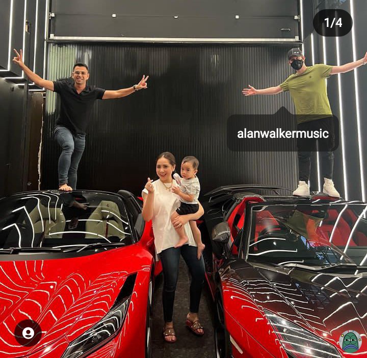 Alan Walker ke Andara 💚