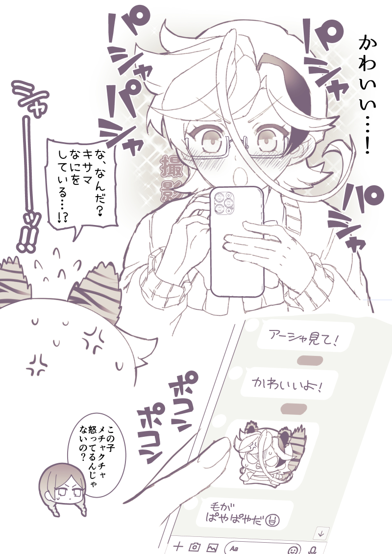 ♀️   虎シャミかわいい🐯 https://t.co/cVKOixgwd9