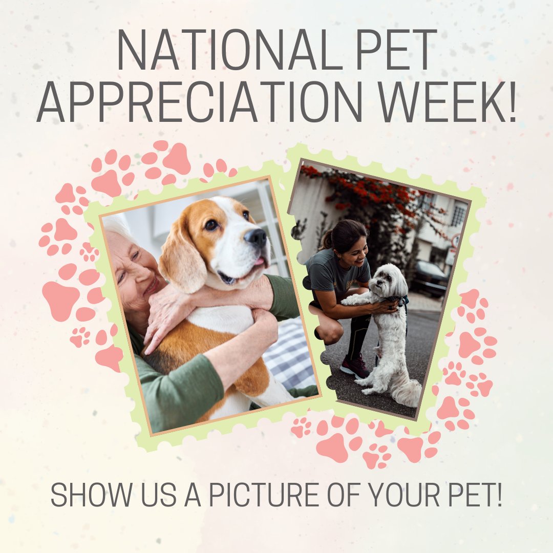 Action News 5 on Twitter "It's National Pet Appreciation Week! 🐶🐱💛