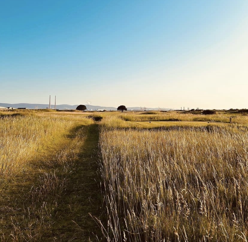 Fescue goals 😍
.
.
.
.
#beautifulgolfcourses #golf #bucketlistgolf #golftravel #golftrip