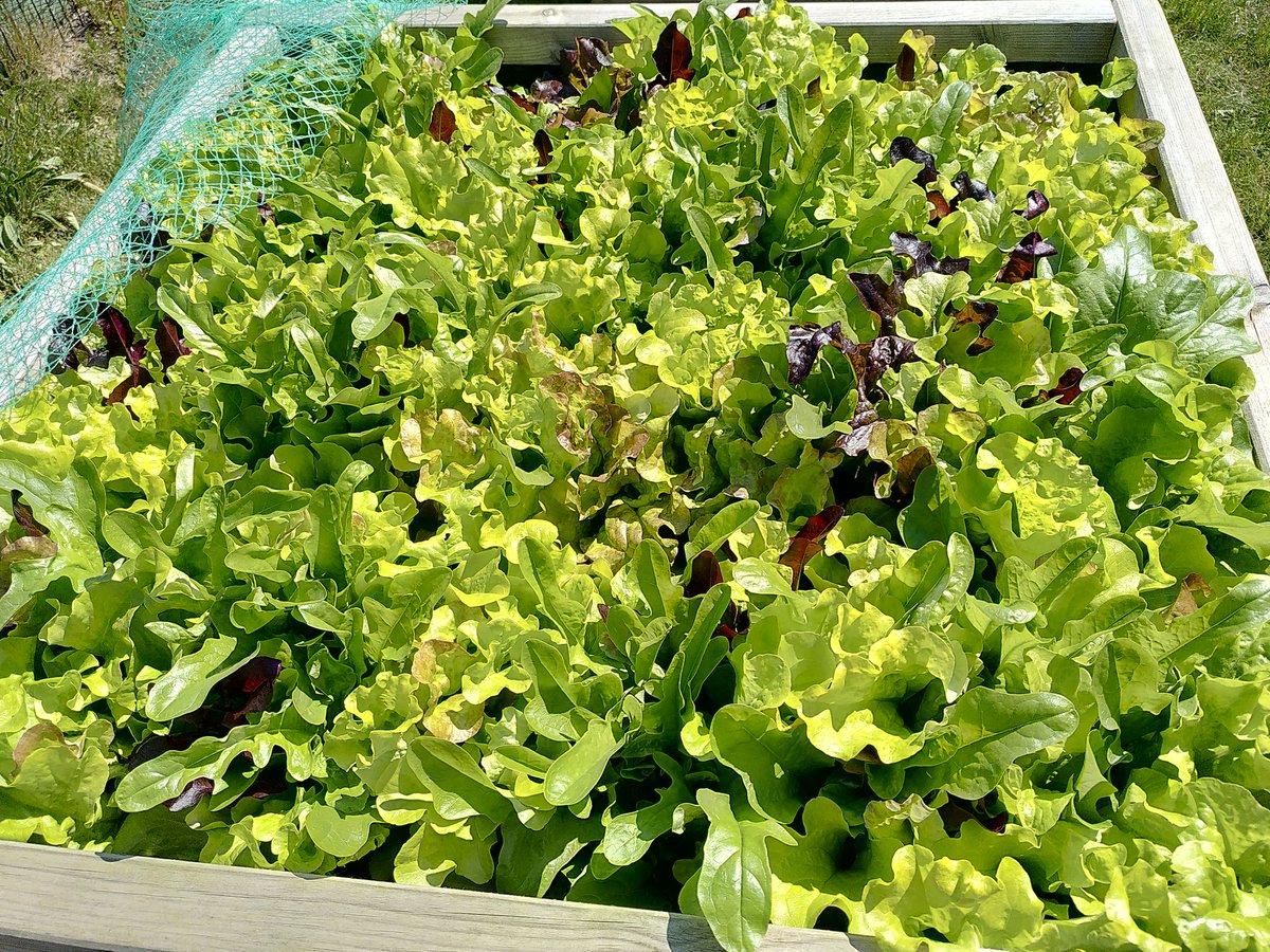 CDSHumanities tweet media