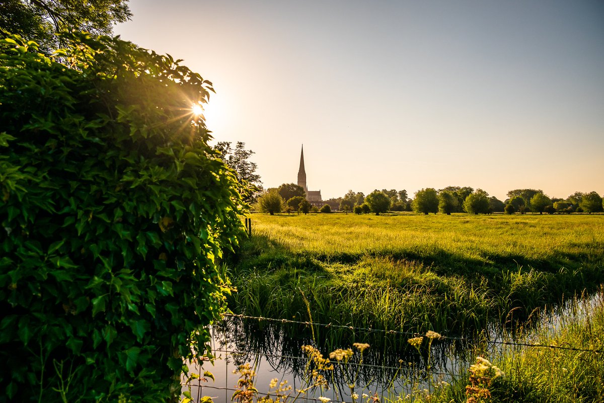 Salisbury Cathedral viewed from the Harnham Water Meadows.

#cathedral #nikonz5 #englishcountryside #sun #peaceful #sunrise #photographylovers