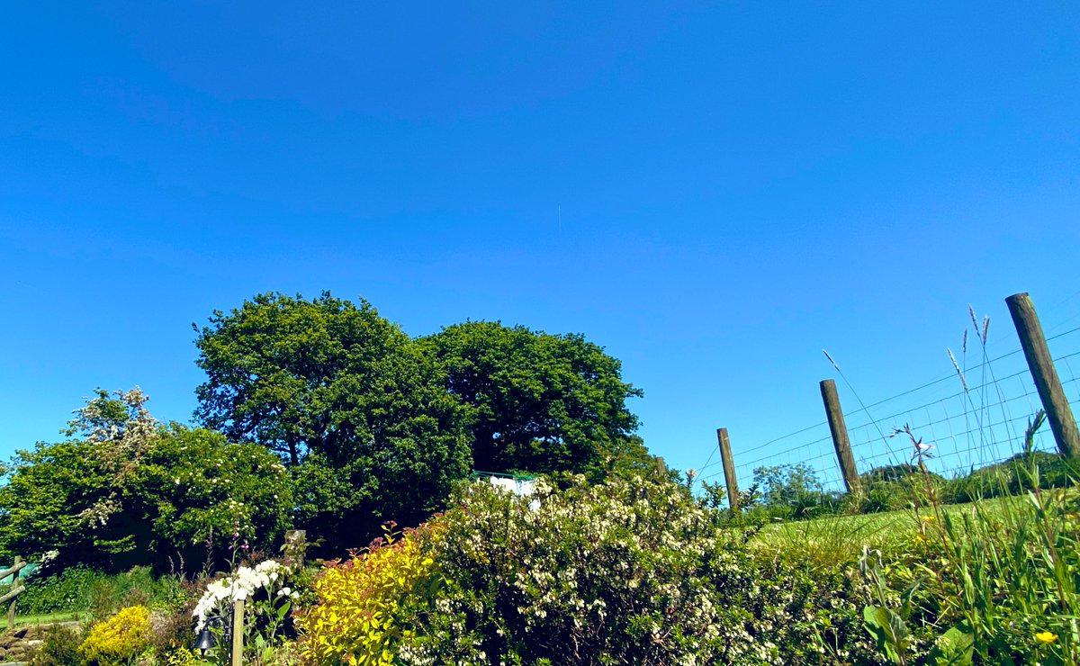 Amazing contrast of blue skies and early summer greens. You’ve got to love the British summer. #westisbest #wales #PEMBROKESHIRE #summertime
