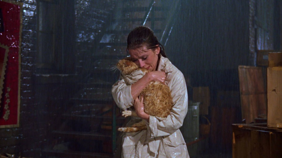 Audrey Hepburn and Orangey photographed for Breakfast at Tiffany's, 1961 #HugYourCatDay