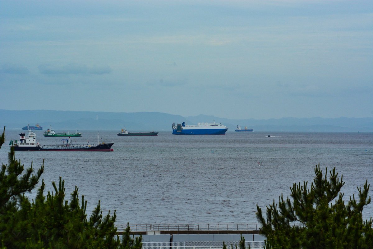 八景島シーパラダイスより見た東京湾

大型タンカーや船が多いな😅