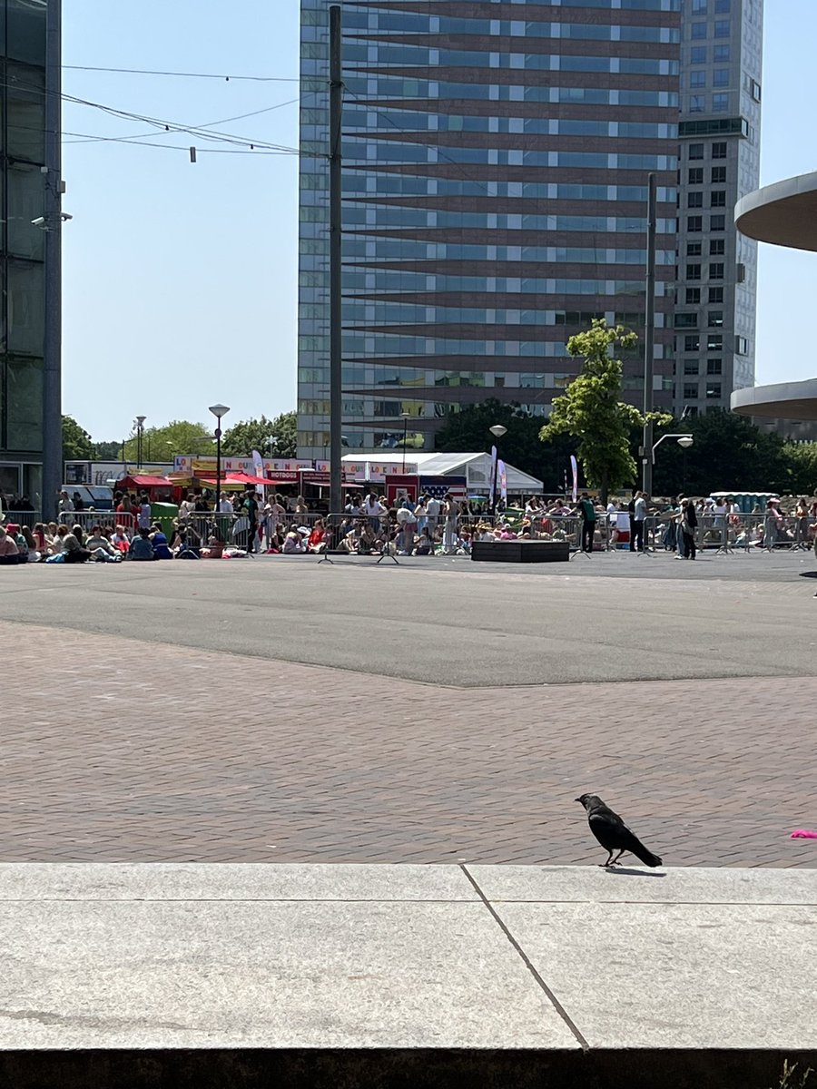 Sitting in the shade in front of Media Markt ( opposite AFAS) if you want to put a message in the book or just say hi

#HarryStyles #TheLoveBand #HarrysHorns #hslot23 #loveontour2023 #hslot23Amsterdam