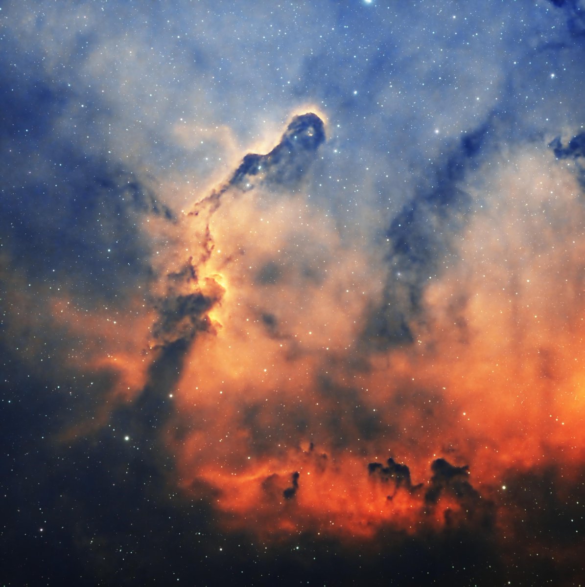 Elephant Trunk Nebula [by chook_512] #astronomy #astrophotography