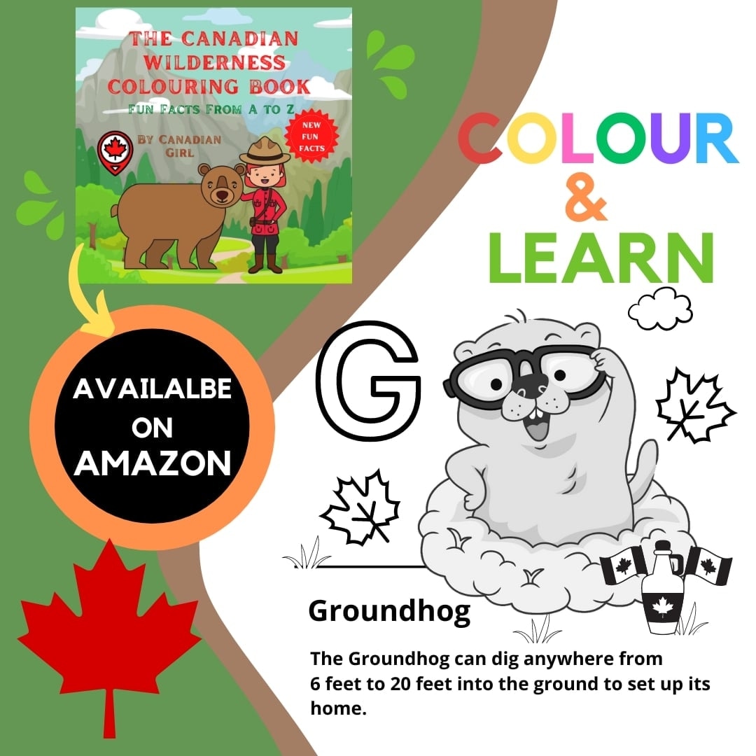 Nothing Ever Happens in Canada tweet media