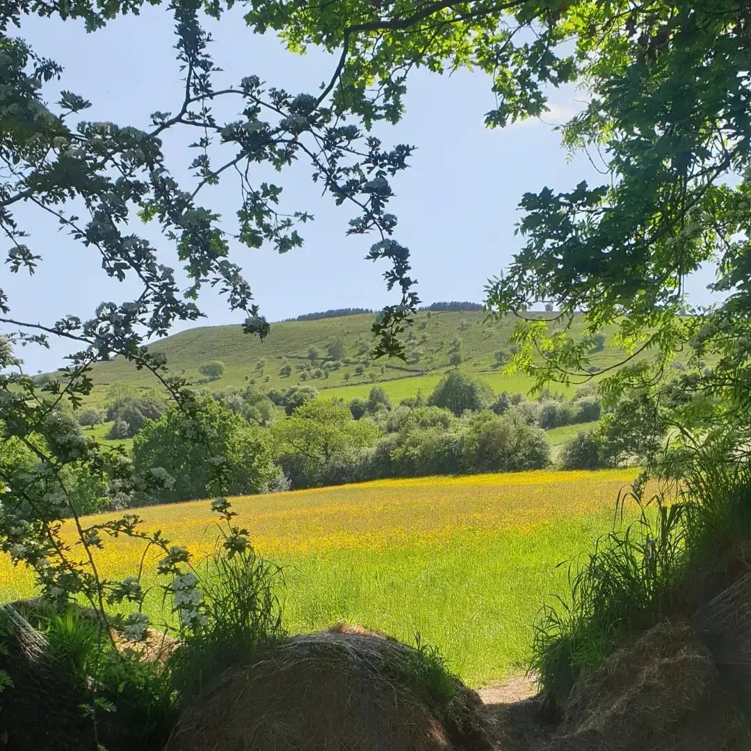 Beth Cartwright tweet media