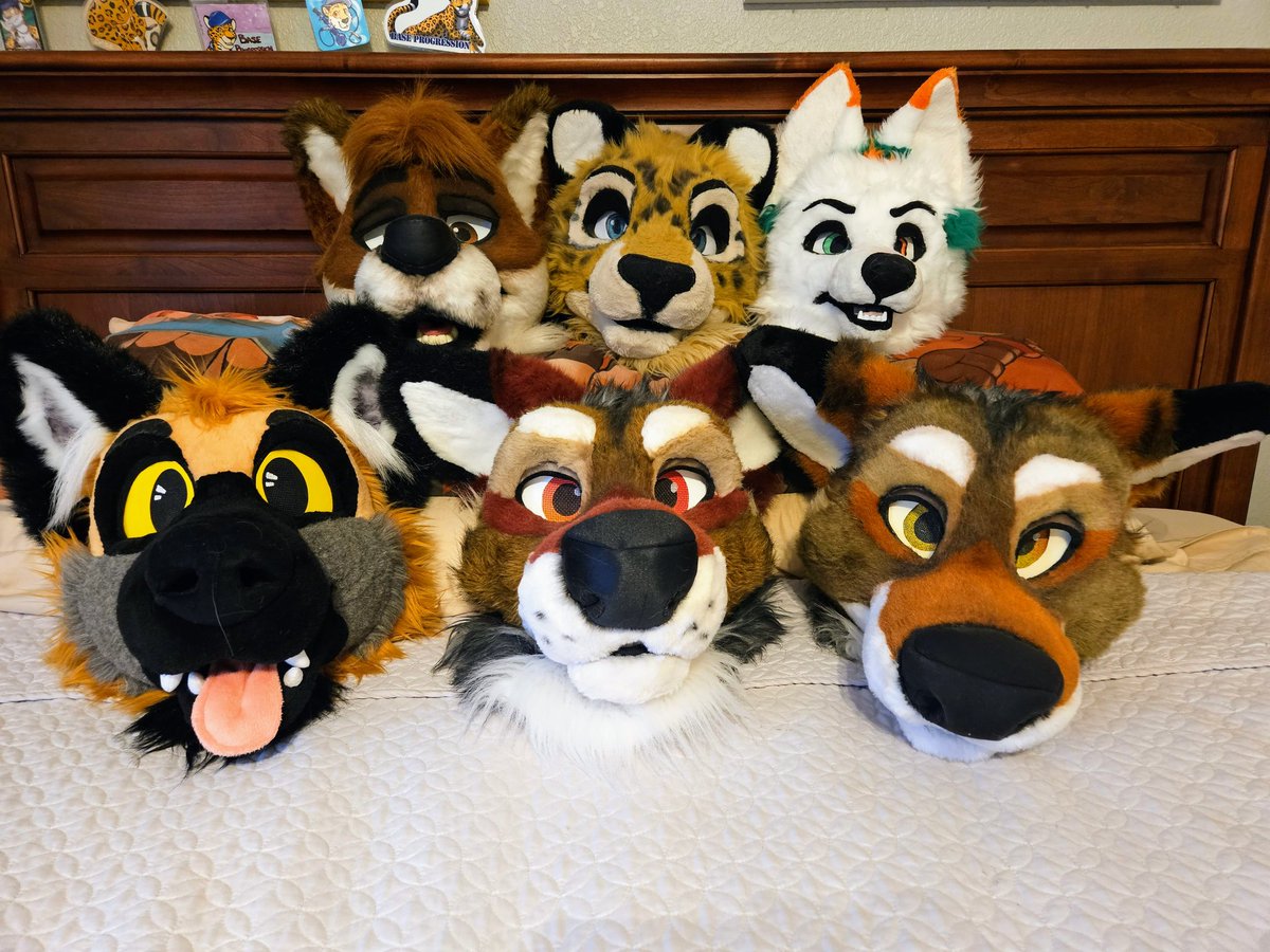BaseProgression's tweet photo. I've got a whole bed of good boys! https://t.co/s26xMKhPCD