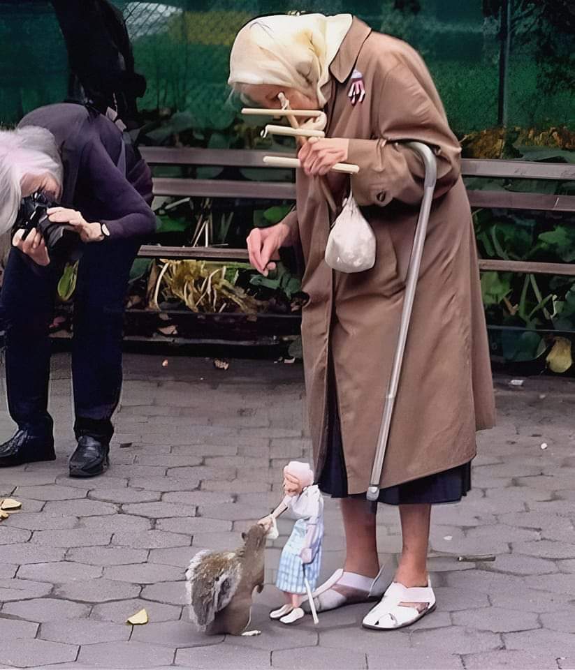 Una encantadora señora de 85 años, alimenta a las ardillas del Washington  Square Park de Nueva York; con una marioneta creada por ella y con  dedicación, amor y paciencia logra la confianza, image size:823x960