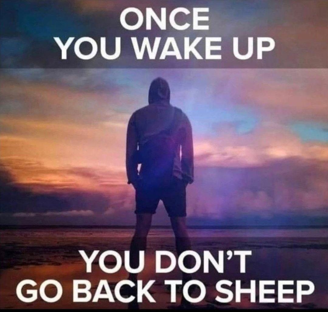 My Magic Dragon says... tweet media