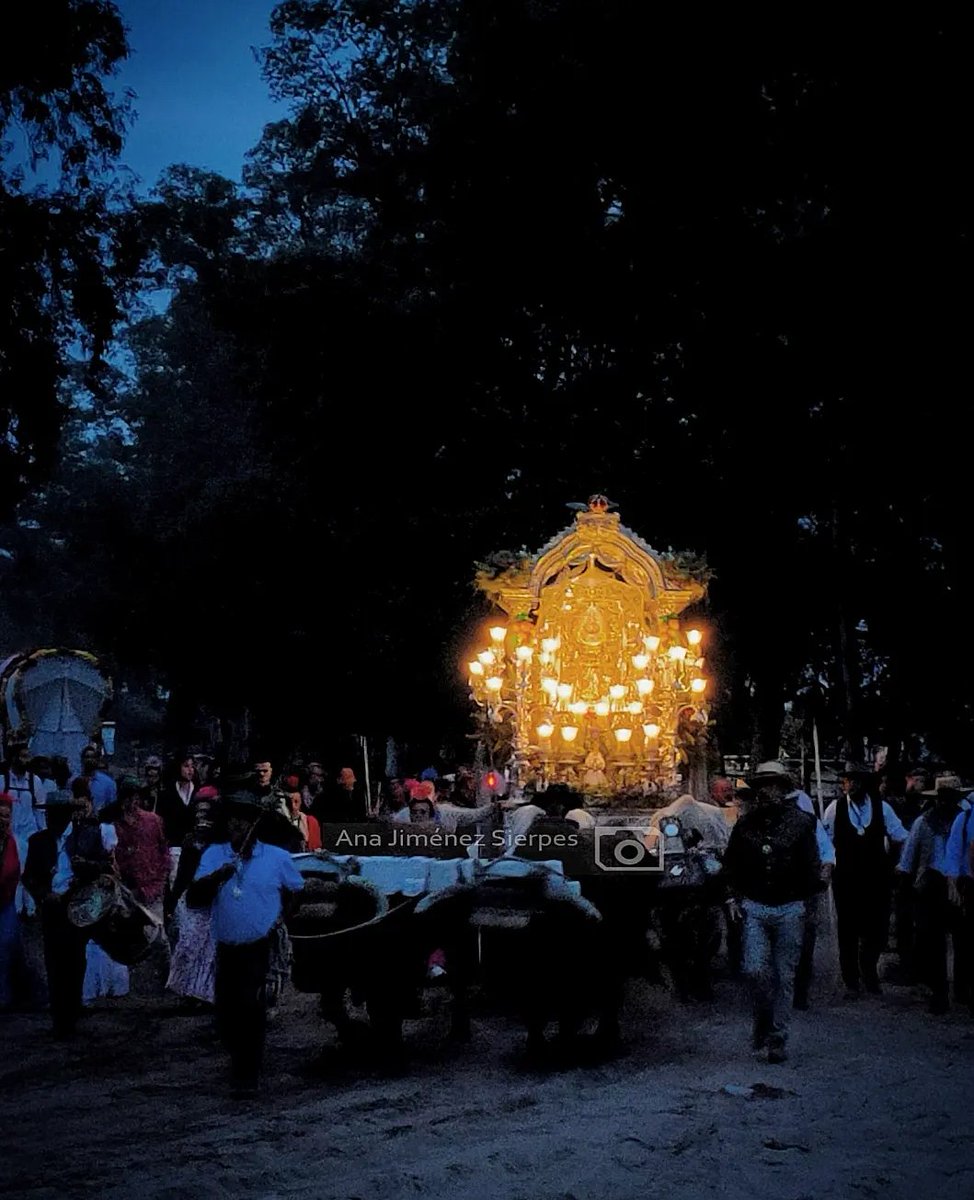 Ana Jiménez Sierpes tweet media