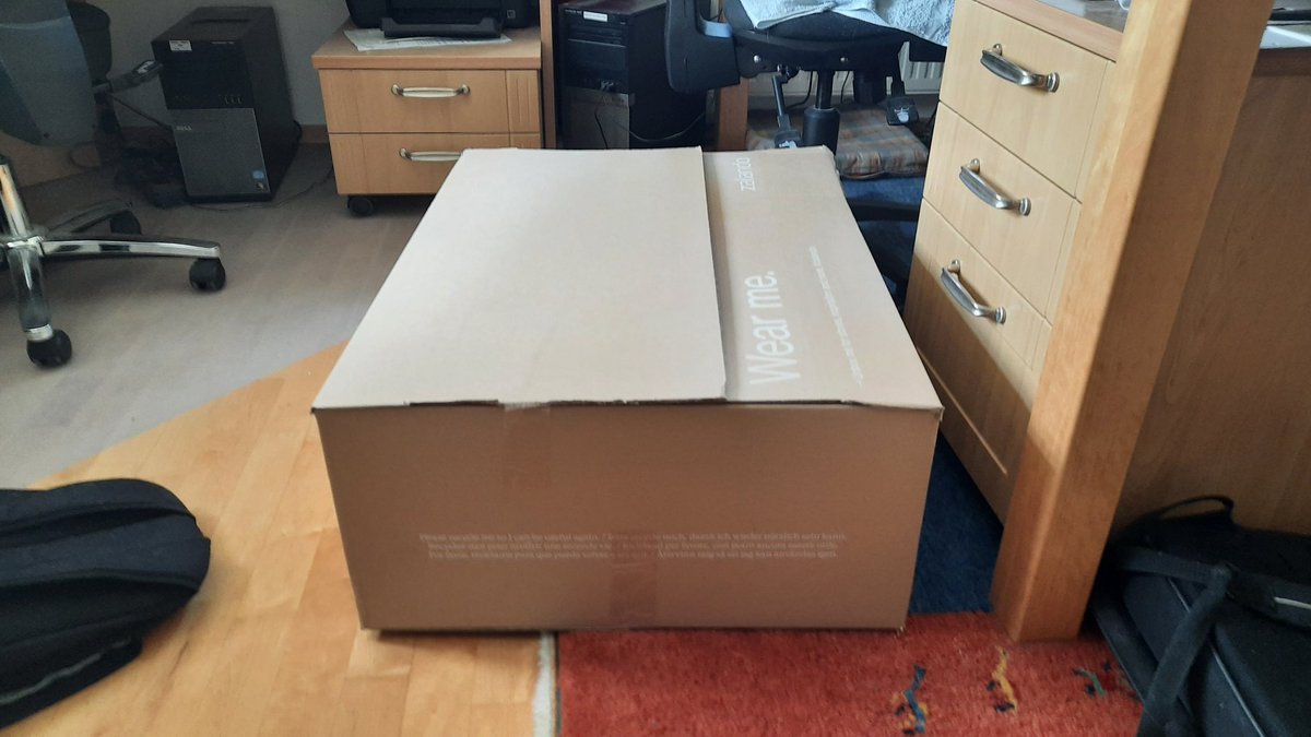 Where are the cats? 🐈🐈‍⬛ 😜