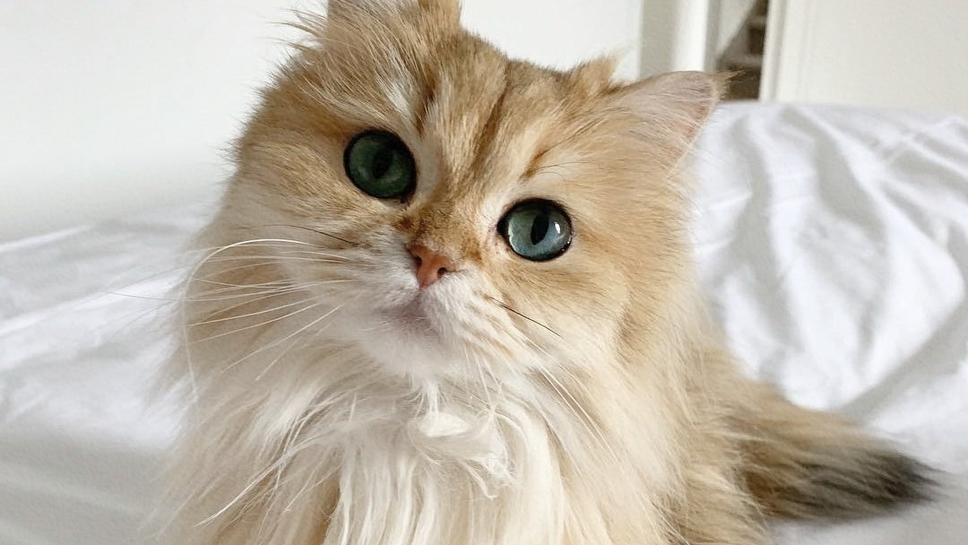 ͏ ͏ ͏
     ͏ ͏ ͏
͏     ͏ ͏ ͏
     ͏ ͏ ͏
     ͏ ͏ ͏
     ͏ ͏ 
宮治 O6O4,
my pretty muse.
͏     ͏ ͏ ͏