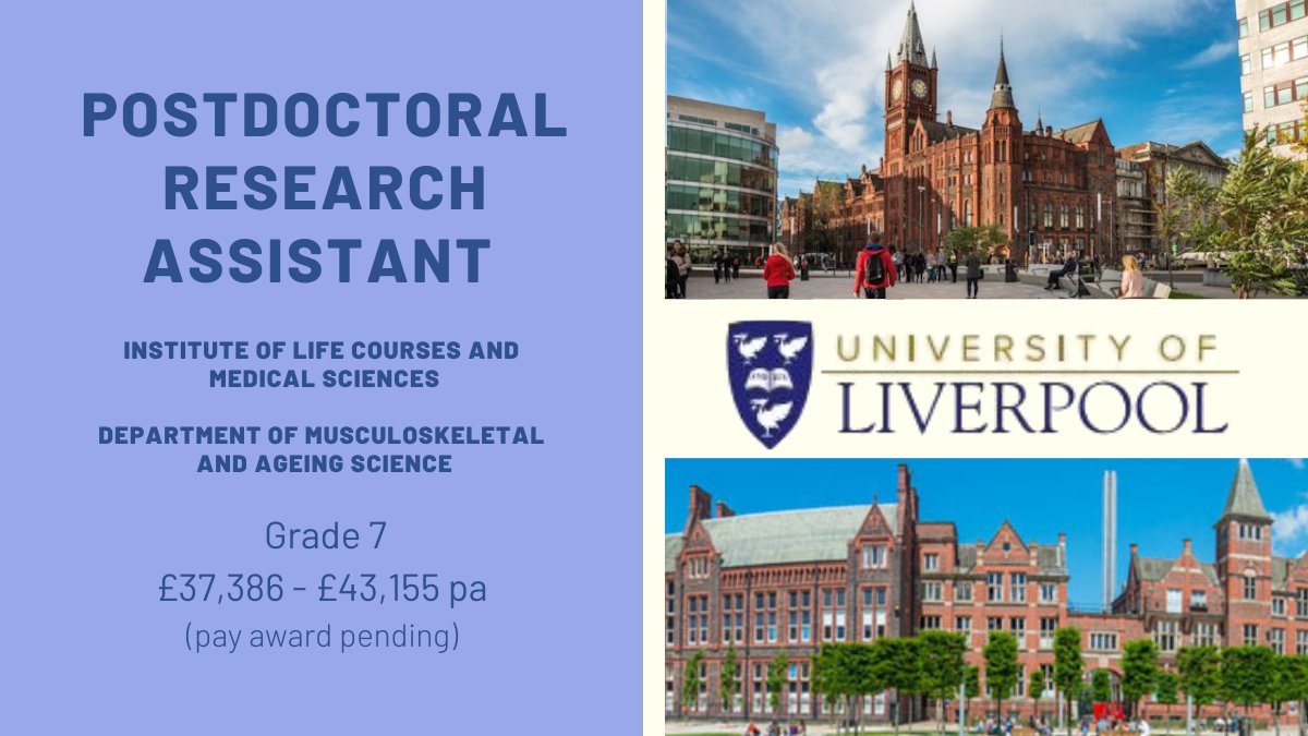 livunijobs's tweet photo. #PdRA to join the primary chronic pain #autoimmunity research group at the Pain Research Institute/ Department of #Musculoskeletal Science. PI, Professor Andreas Goebel, co-PI Dr. Roz Jenkins #wetbench #Bioanalytical #neuroscience #KingsCollegeLondon @LivuniILCaMS @LivResearcher https://t.co/6hVInu0IDA