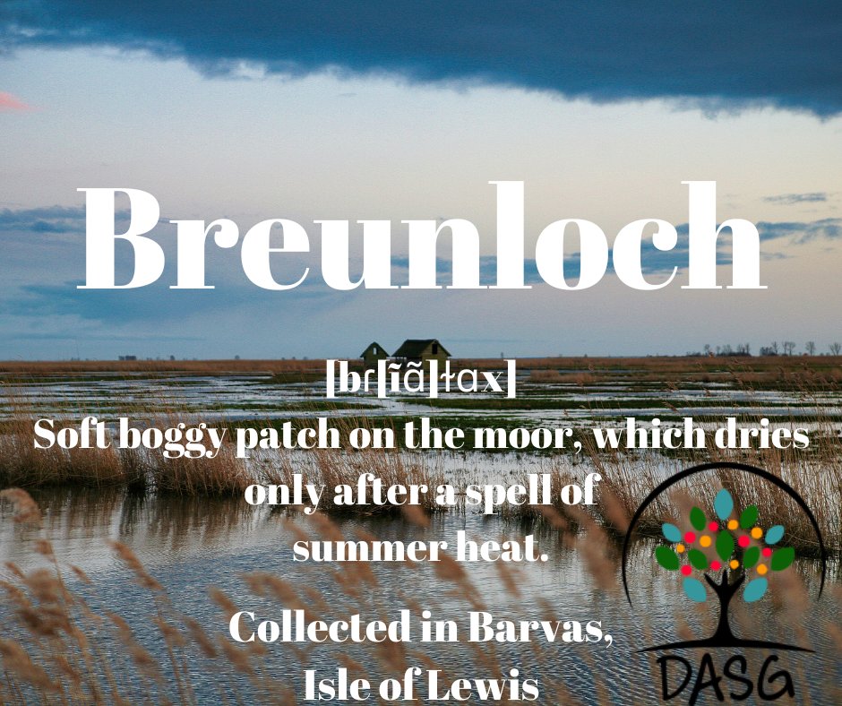 DASG_Glaschu's tweet photo. https://t.co/PPUIHs244k
🌱
BREUNLACH
-
SOFT BOGGY PATCH ON THE MOOR WHICH DRIES IN THE SUMMER
🏞️
#Breunloch #Lochan #Loch #Lake #Samhradh #Breun
🤢
#Barabhas #Barvas #Leòdhas #IsleofLewis #Alba #Scotland
#Gàidhlig #Gaelic #ScottishGaelic
#DigitalArchiveofScottishGaelic #DASG https://t.co/hsxixyYkpj
