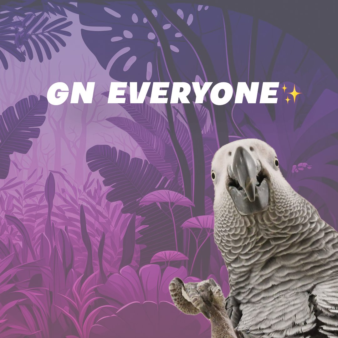 hugotheparrot's tweet photo. GN everyone! π
Remember, every small step is crucial in our mission to conserve African Grey Parrots.
Thank you for joining us on this journey. Dream big, dream green!
#HugoParrot #HugoProject https://t.co/K1P9MtNAhm