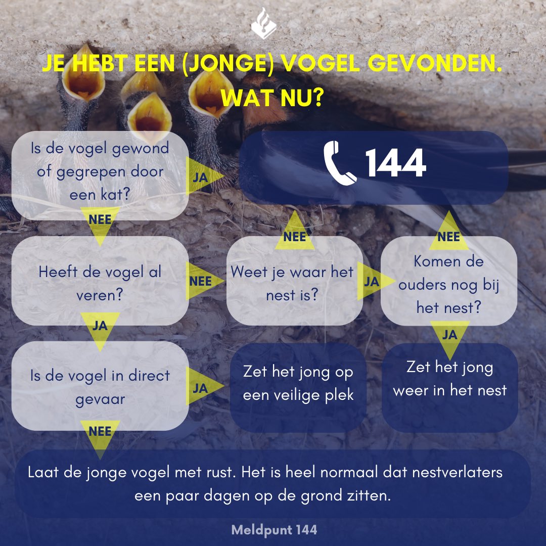 Meldpunt 144 (@meldpunt144) on Twitter photo 