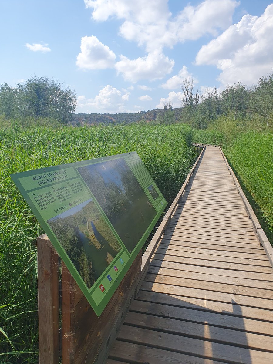 tonyaogc's tweet photo. Tomb per la Reserva Natural de Sebes amb lo jefe de la casa, la Marta i l' Arlet, #reservanaturaldesebes #sebes #flix #riberadebre https://t.co/fEd8PLr1Za
