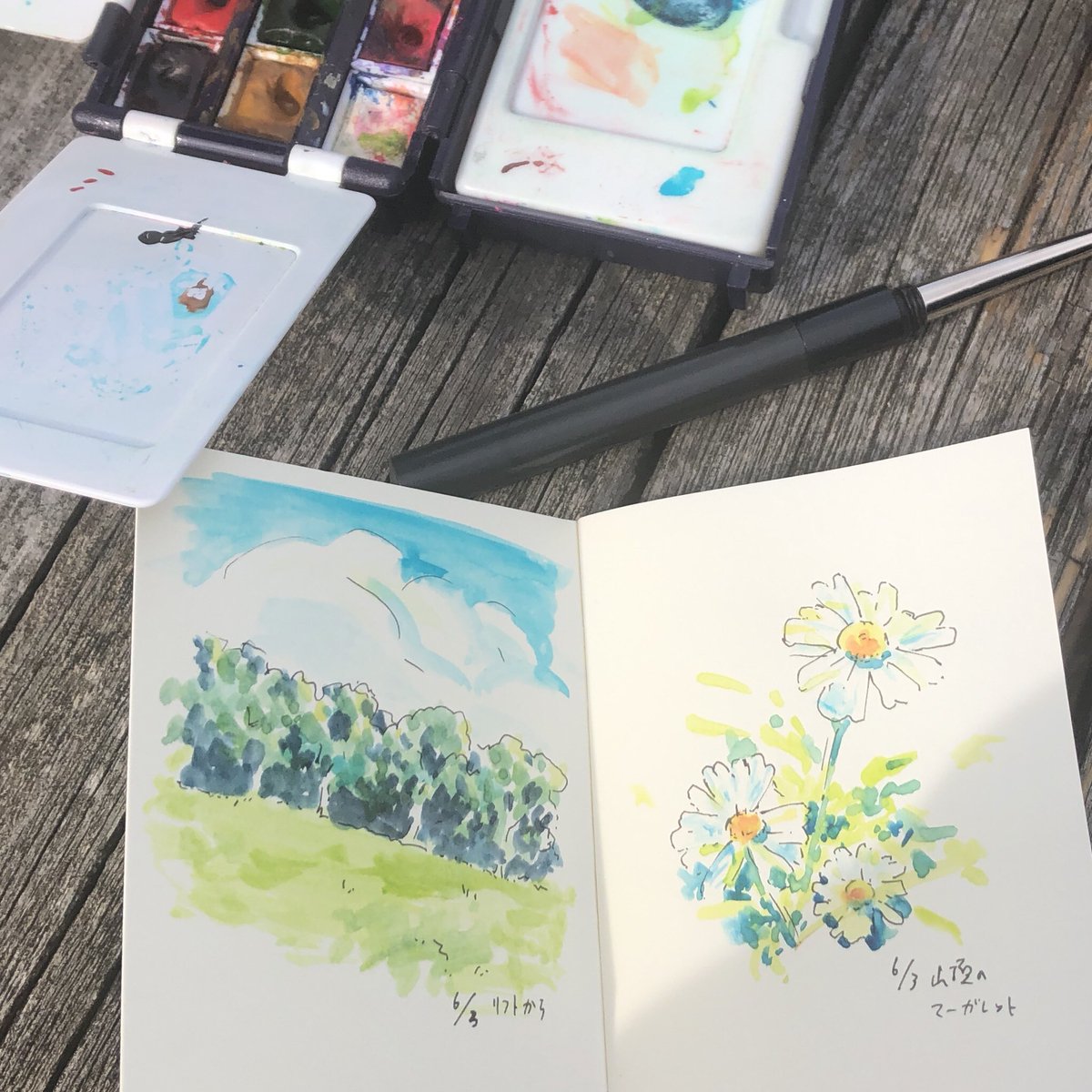 Yamamoto_bo's tweet photo. 自然の中でスケッチ楽しかった🌿 https://t.co/Gqu55jDCt8