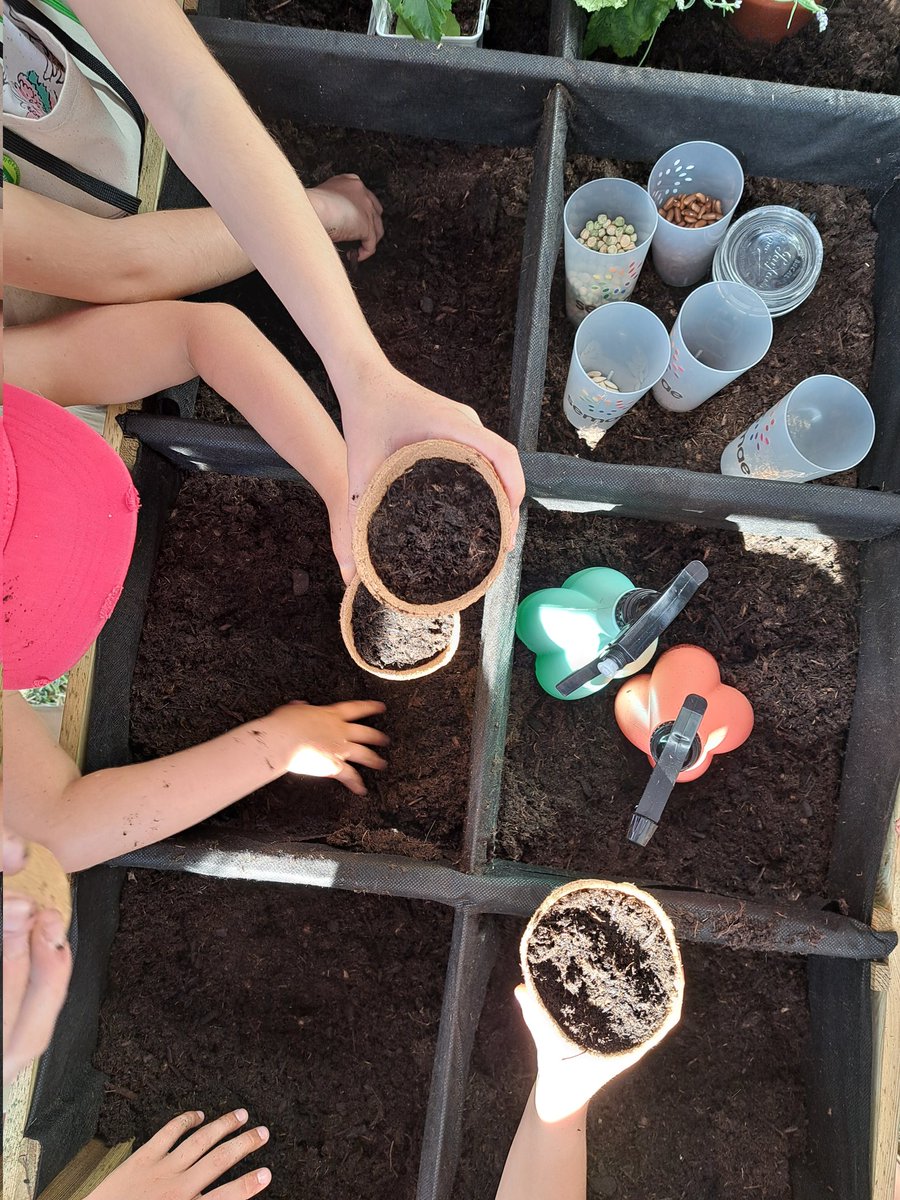 Ce matin, c'est atelier #semis au salon des agricultures de #Provence.
#semetagraine !
#jardinage
#potager