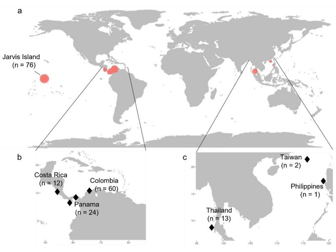 Influence of #upwelling on #coralreef benthic communities - ow.ly/Uayc50OubjW #ProcB #OpenAccess #EvidenceSynthesis