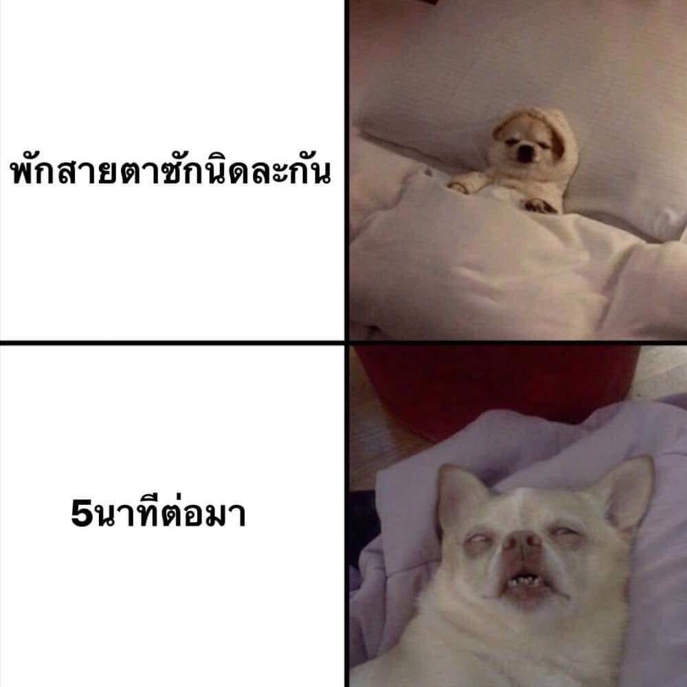สภาพ 55555555555555