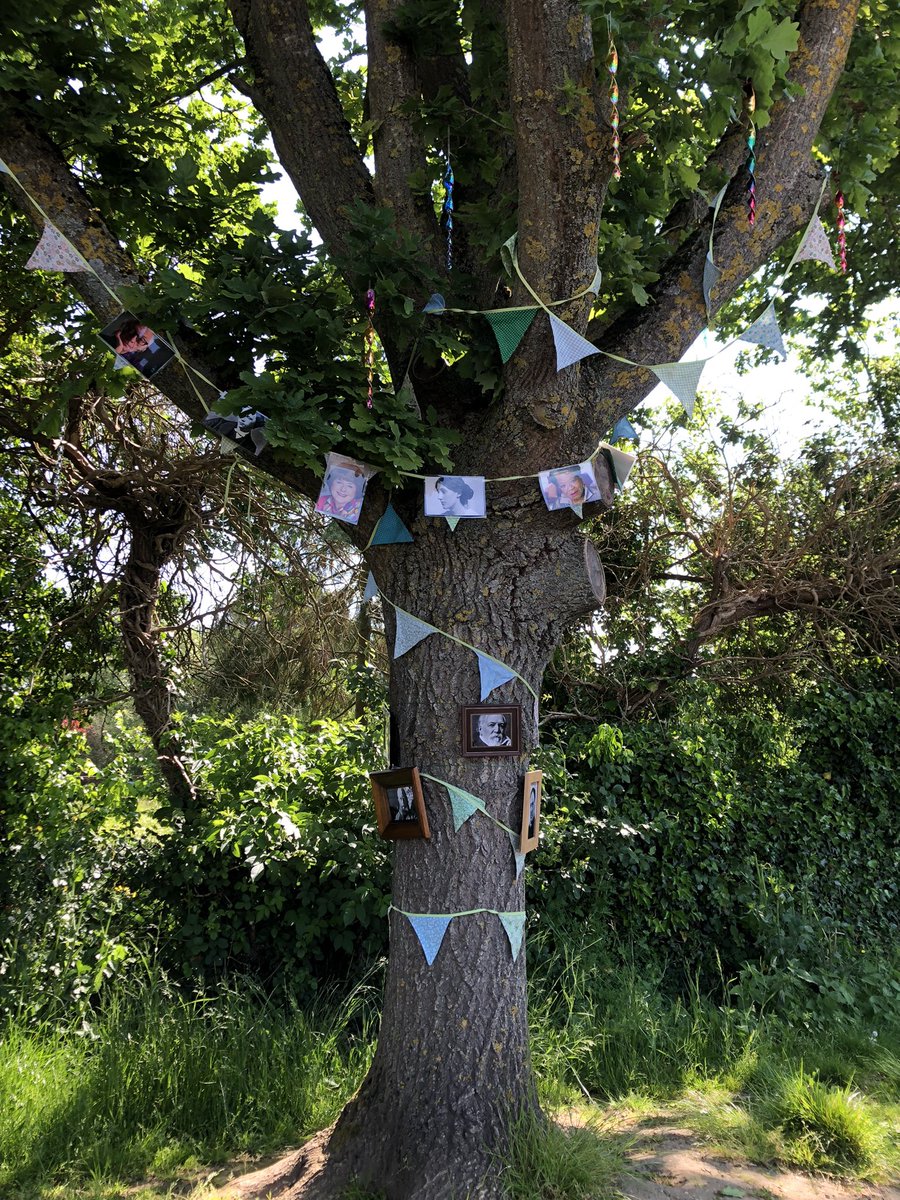 tiffany_ebrey's tweet photo. @MichaelRosenYes @McgoughRoger @PamAyres @BZephaniah @PieCorbett @jamescarterpoet @RumbleCoral 
Which of the kids at Aldermaston Primary will be first to notice the poetree which has mysteriously appeared on the edge of the playground over half term? #literaryhooks #poetry https://t.co/KfvVXm2U5x