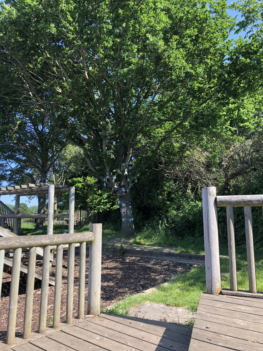 tiffany_ebrey's tweet photo. @MichaelRosenYes @McgoughRoger @PamAyres @BZephaniah @PieCorbett @jamescarterpoet @RumbleCoral 
Which of the kids at Aldermaston Primary will be first to notice the poetree which has mysteriously appeared on the edge of the playground over half term? #literaryhooks #poetry https://t.co/KfvVXm2U5x