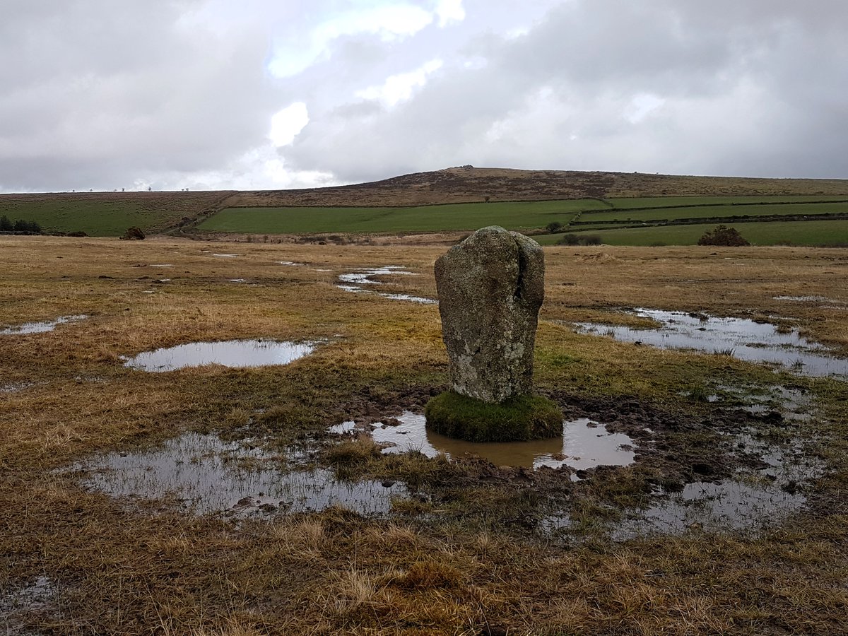 A rather boggy individual of the Trippet Stones on Bodmin Moor. #StandingStoneSunday