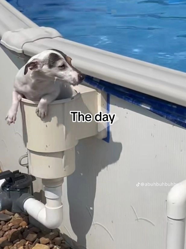 minx on Twitter "i'll be throwing myself out the window now"