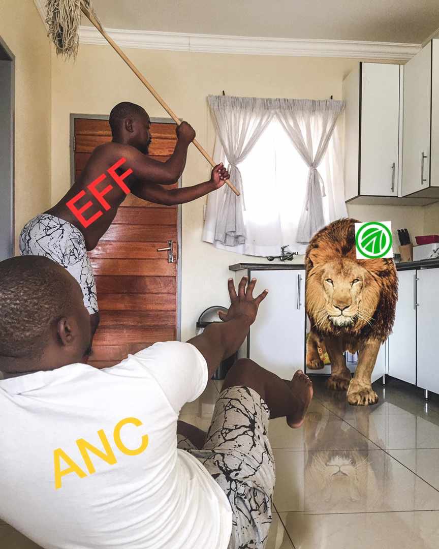 Phiko (@phikoadonis) on Twitter photo EC ActionSA has broken new grounds, We have over 15k members and many supporters. We building an alternative party for the betterment of our country. 👏🏽🎉💯✅🙏🏾
#Project2024 #Let'sFixSouthAfrica
<a href="/HermanMashaba/">Herman Mashaba</a> <a href="/Action4SA/">ActionSA</a> <a href="/AtholT/">Athol Trollip</a> <a href="/ME_Beaumont/">Michael Beaumont</a> EC ActionSA has broken new grounds, We have over 15k members and many supporters. We building an alternative party for the betterment of our country. 👏🏽🎉💯✅🙏🏾
#Project2024 #Let'sFixSouthAfrica
<a href="/HermanMashaba/">Herman Mashaba</a> <a href="/Action4SA/">ActionSA</a> <a href="/AtholT/">Athol Trollip</a> <a href="/ME_Beaumont/">Michael Beaumont</a>
