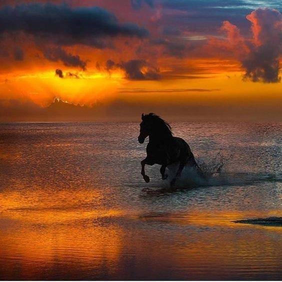 ✍️Saveur des mots✍️ tweet media