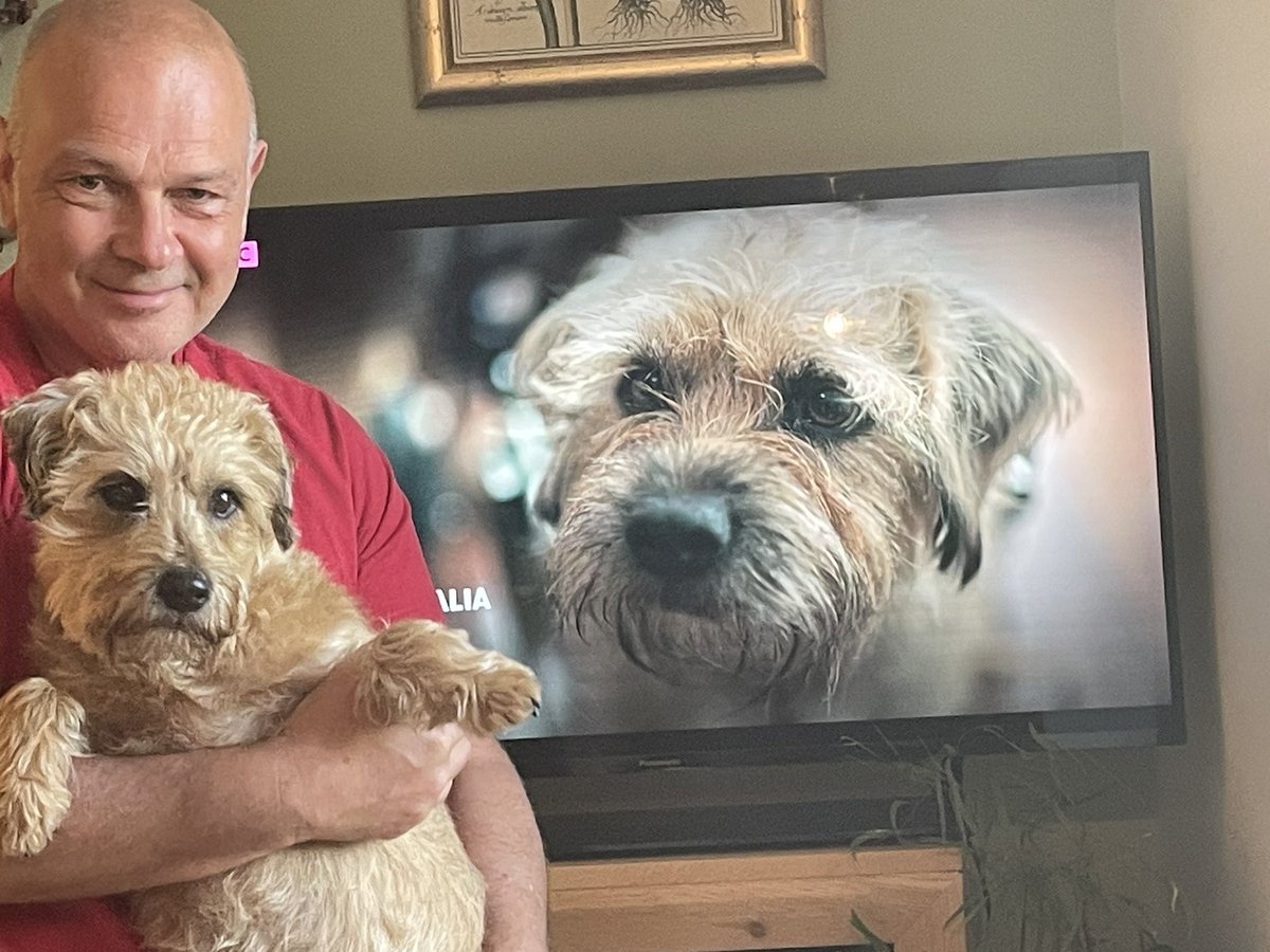 Nicola Monk (@nicolaperry84) on Twitter photo Hey <a href="/BBCiPlayer/">BBC iPlayer</a> we love ‘Colin from Accounts’ - if you ever want to make a British version - ‘Stan from Supplies’ is available 🐶😀 Hey <a href="/BBCiPlayer/">BBC iPlayer</a> we love ‘Colin from Accounts’ - if you ever want to make a British version - ‘Stan from Supplies’ is available 🐶😀