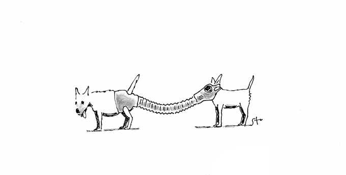 StuDrawings's tweet photo. Dogs social distancing https://t.co/cVIdxNMB7j