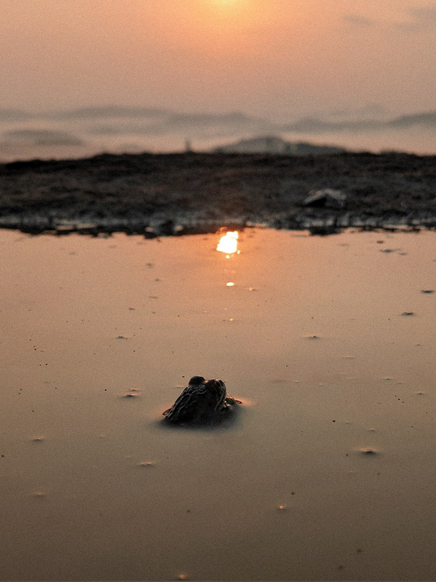 samarthrajms's tweet photo. excited about watching sunrise even when it's a daily phenomenon !!
@NatGeoIndia
@NatGeo
 #shotonpixel #pixel4 #teampixel @googlepixel
 .
#googleindia #google #macrophotography #sunrise #sunrisephotography https://t.co/m6ttfoNjB9