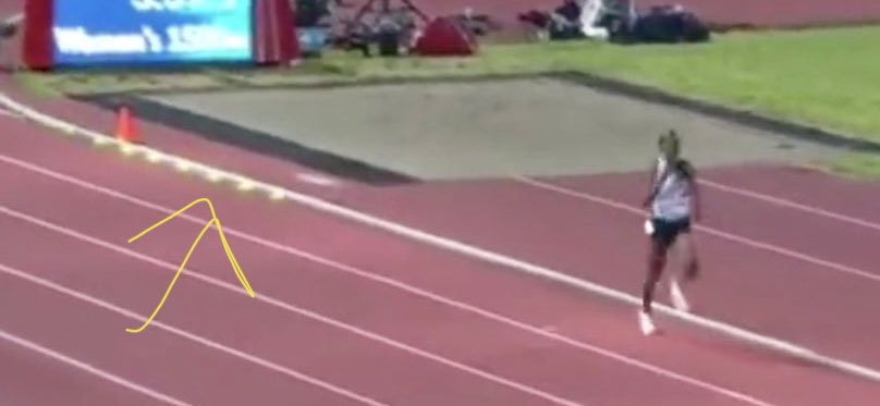 Andrew Steele tweet media