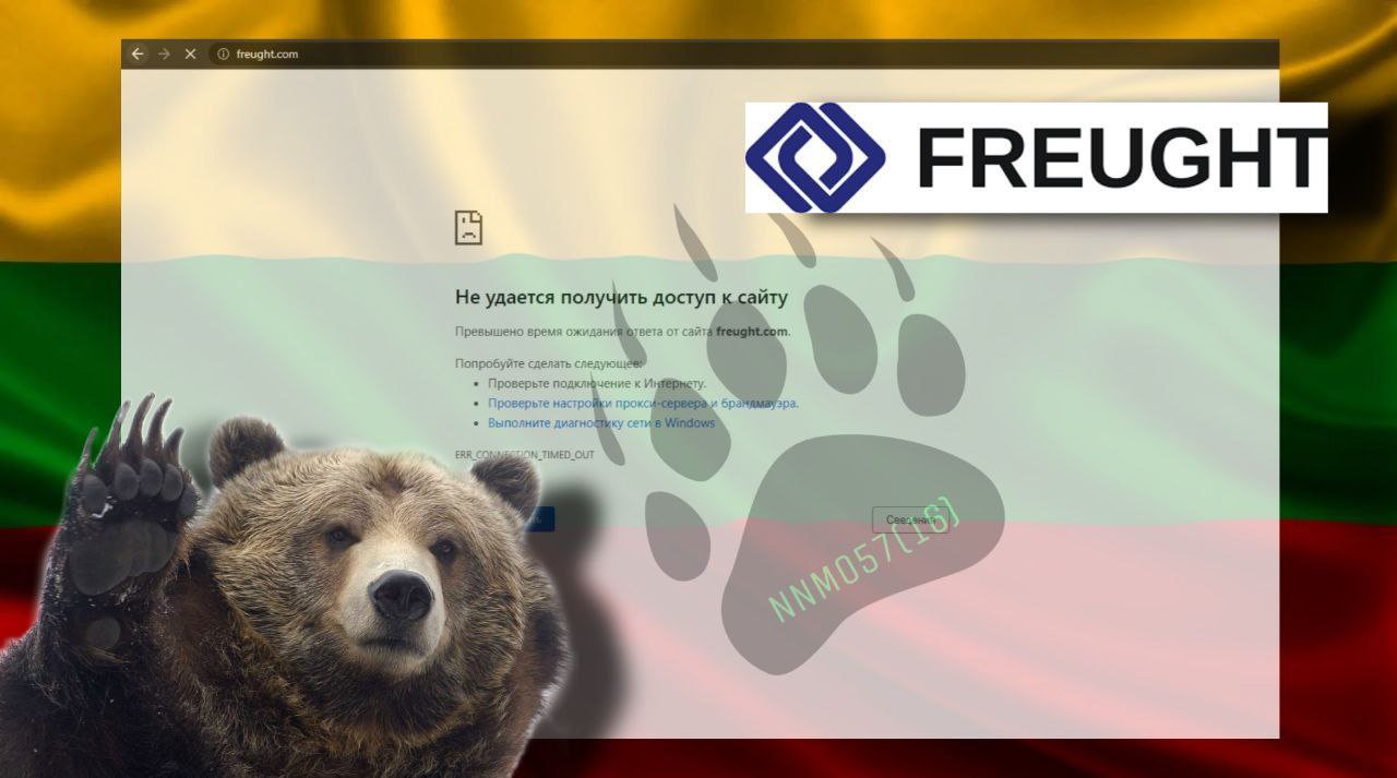 Litvanya'ya NoName DDoS Saldırısı