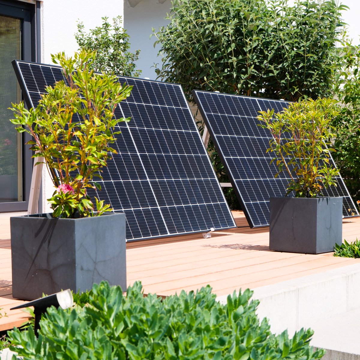 Frank Feil tweet media