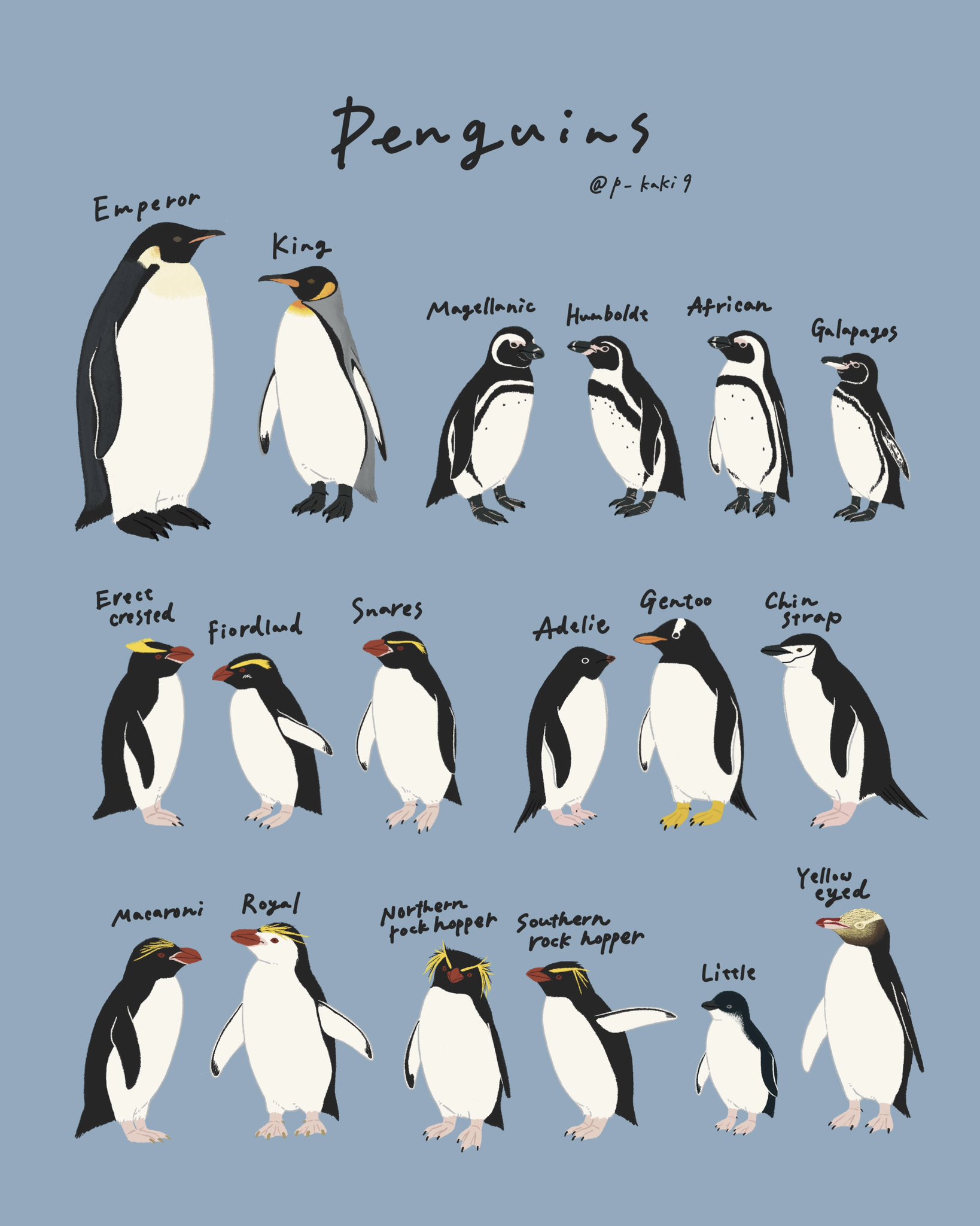 きゅう🐧イラストレーター on X: 