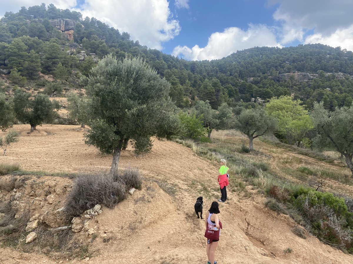 Comencen a formar-se núvols de tempesta a #Ràfels #Matarranya