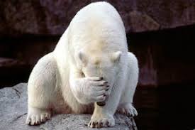 ElliotLucinda's tweet image. #WritingCommunity #AmWritingFiction #wordpressblogs #comments 
How embarrassing: I have only just found out that comments weren't enabled for my updated blog after a reader complained.  I'd forgotten to ask the designer to add that option.  It's open for comments now...