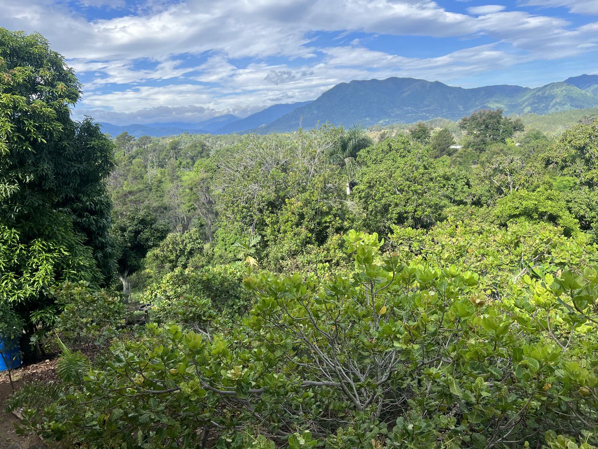 Ver lo agradecida de la naturaleza cuando Dios le manda la lluvia todos cambia como una señal de agradecimiento y los seres humanos acabando con los bosques para sellarlo con cemento cuidemos la naturaleza